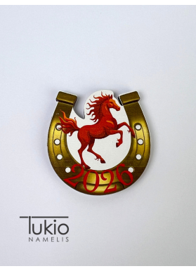 Magnetukai 2026 pasaga