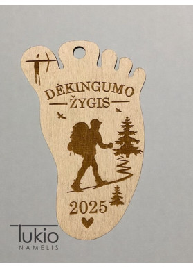 Medinis žygio medalis